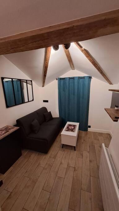 Apartment Petit-cocon Proche Centre-ville Caluire-et-Cuire